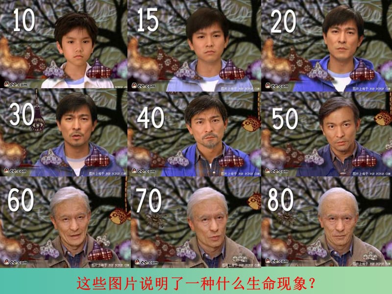 高中生物《6.3 细胞的衰老和凋亡》课件 新人教版必修1.ppt_第3页