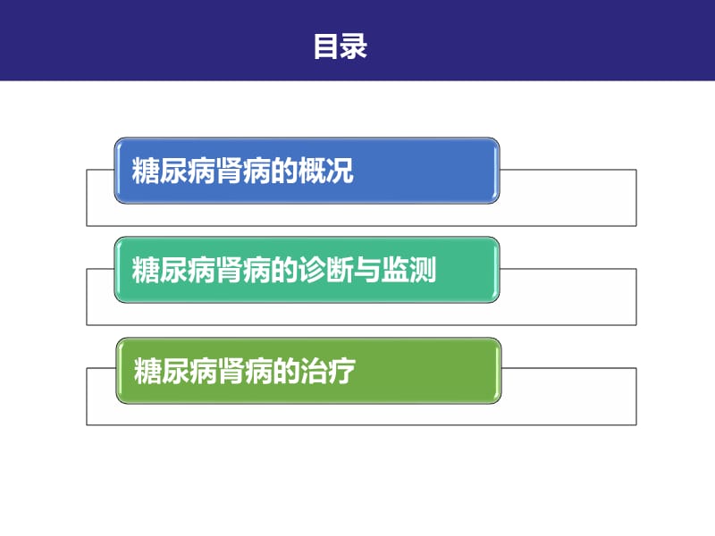 糖尿病肾病的诊治.ppt_第2页