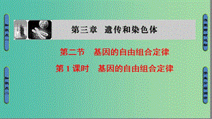 高中生物 第3章 遺傳和染色體 第2節(jié) 基因的自由組合定律（第1課時）課件 蘇教版必修2.ppt