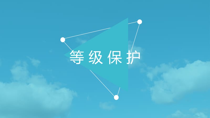 信息安全等级保护.ppt_第1页