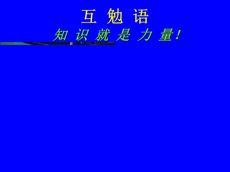 心与大血管系统影像诊断学.ppt_第2页