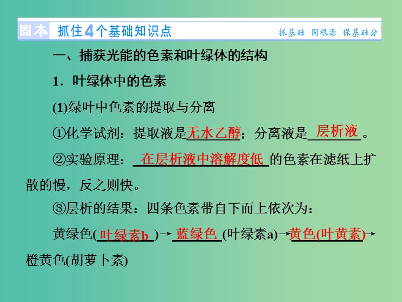 高考生物总复习 第3单元 第3讲 能量之源 光与光合作用课件 新人教版必修1.ppt_第2页