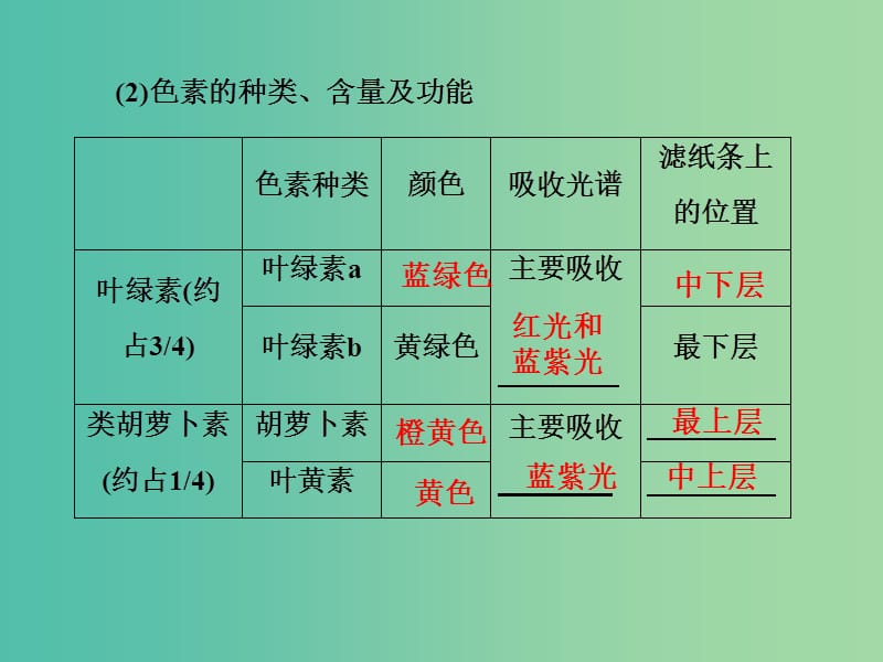 高考生物总复习 第3单元 第3讲 能量之源 光与光合作用课件 新人教版必修1.ppt_第3页