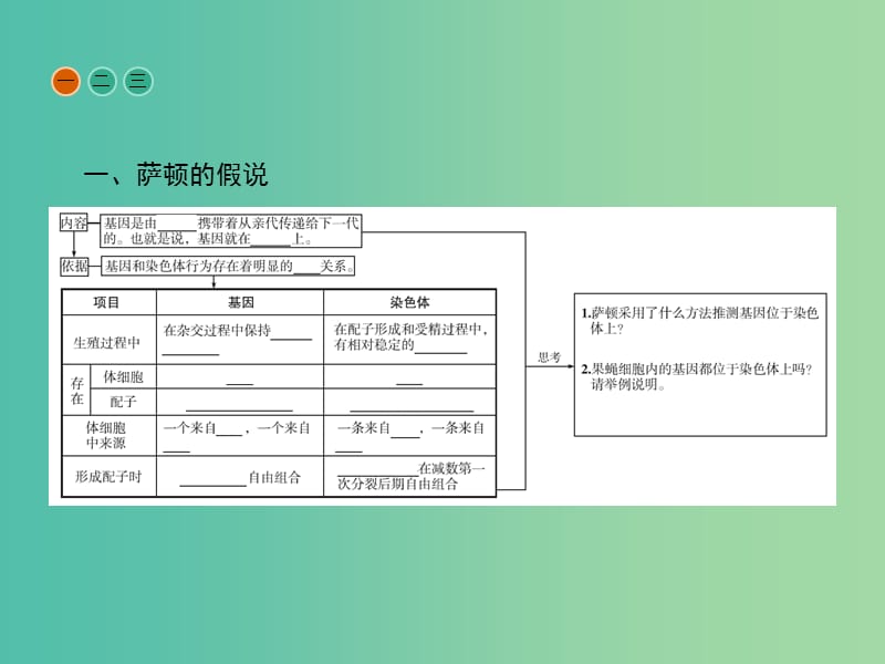 高中生物第2章基因和染色体的关系第2节基因在染色体上课件新人教版.ppt_第3页