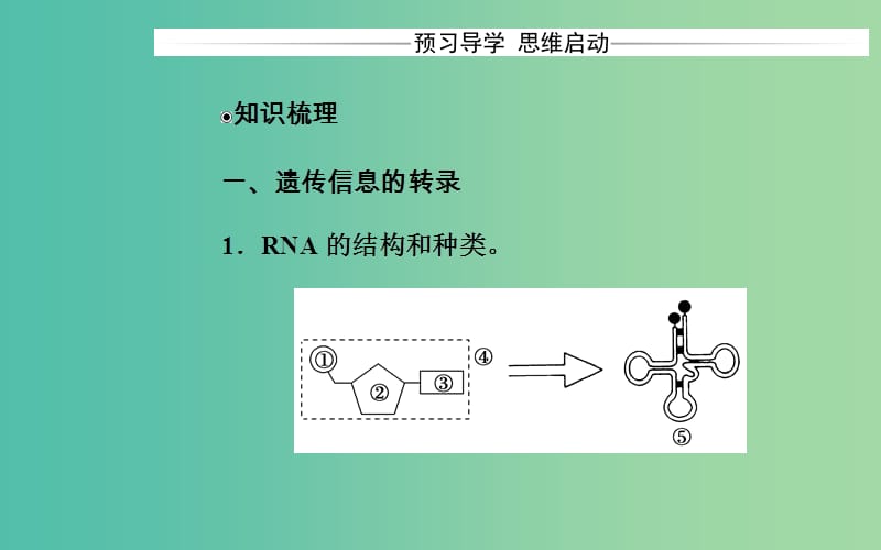 高中生物 第4章 基因的表达 第1节 基因指导蛋白质的合成课件 新人教版必修2.ppt_第3页