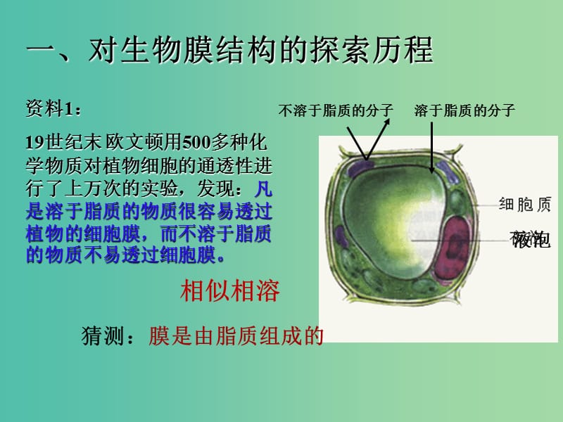 高中生物 4.2《生物膜的流动镶嵌模型》课件 新人教版必修1.ppt_第3页