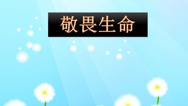 敬畏生命主题班会.ppt_第1页