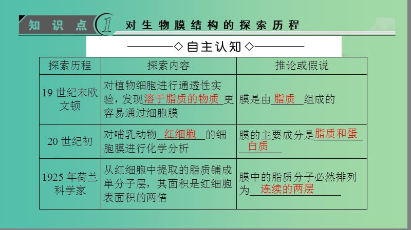 高中生物 第4章 细胞的物质输入和输出 第2节 生物膜的流动镶嵌模型课件 新人教版必修1.ppt_第3页