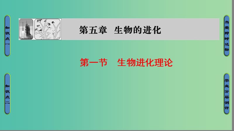 高中生物 第5章 生物的进化 第1节 生物进化理论课件 苏教版必修2.ppt_第1页