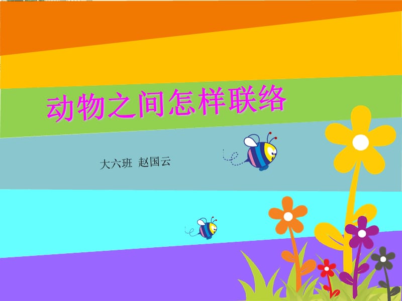 动物之间怎样联络.ppt_第2页