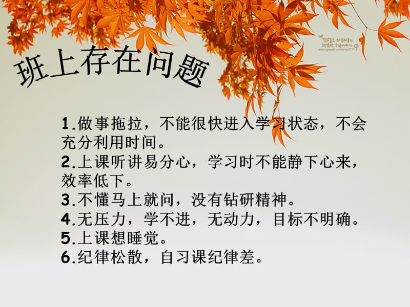 拒绝浮躁-踏实学习.ppt_第3页