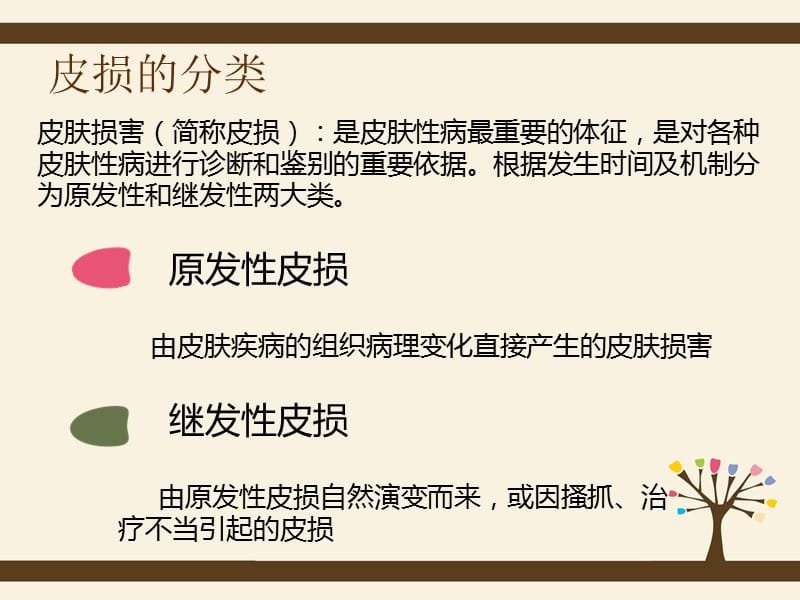 皮肤科常见皮损与相关表现.ppt_第3页