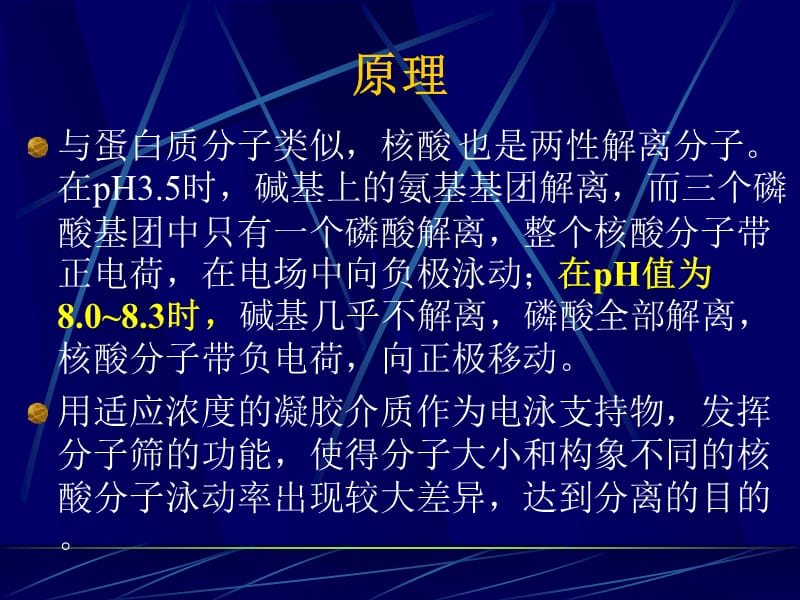 病毒血凝和血凝抑制试验.ppt_第2页