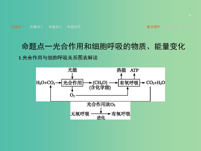 高考生物二轮复习 专题4 光合作用和细胞呼吸课件.ppt_第2页