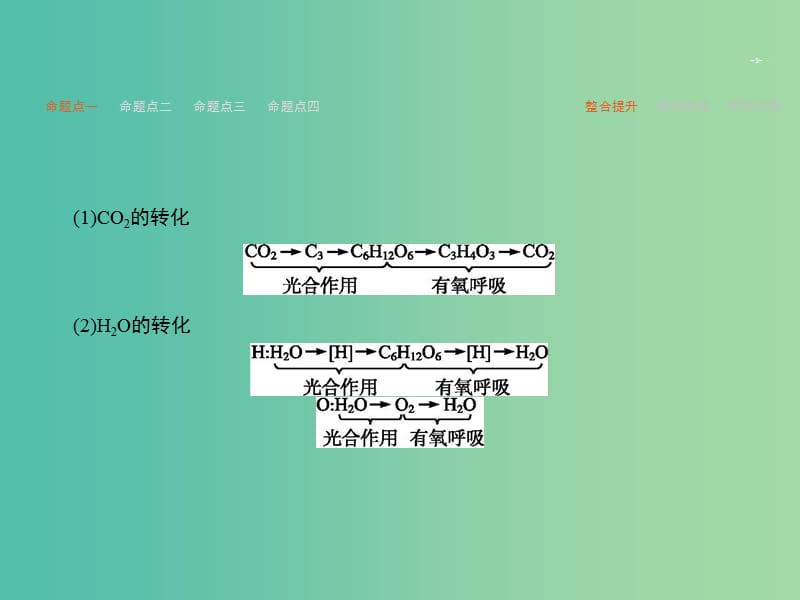 高考生物二轮复习 专题4 光合作用和细胞呼吸课件.ppt_第3页