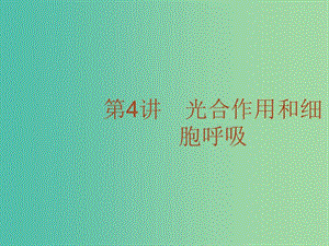 高考生物二輪復(fù)習(xí) 專題4 光合作用和細(xì)胞呼吸課件.ppt