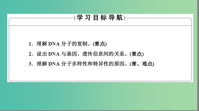 高中生物 第3章 基因的本质 第3节、第4节 DNA的复制、基因是有遗传效应的DNA片段课件 新人教版必修2.ppt_第2页