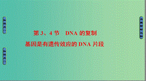 高中生物 第3章 基因的本質(zhì) 第3節(jié)、第4節(jié) DNA的復(fù)制、基因是有遺傳效應(yīng)的DNA片段課件 新人教版必修2.ppt