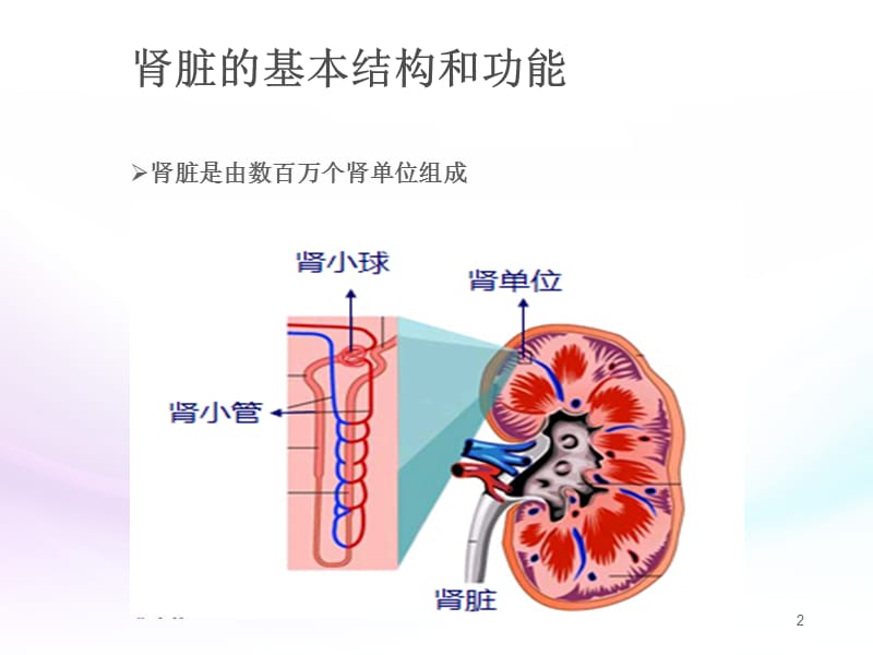 常用肾功能实验室检测.ppt_第2页