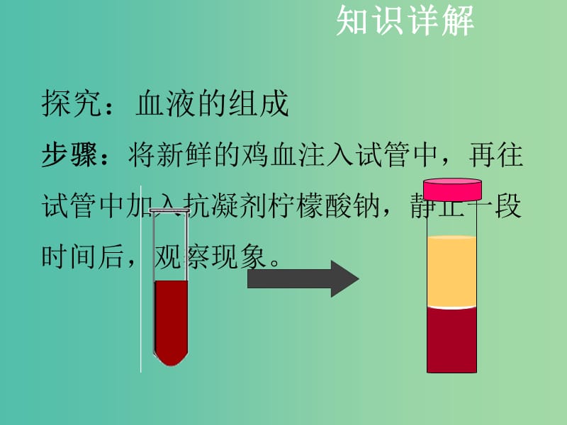 中考生物复习 第五单元 第二节 人体生命活动的能量供给课件.ppt_第3页