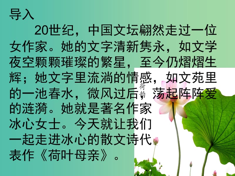 七年级语文上册 4《散文诗两首 荷叶母亲》课件 （新版）新人教版.ppt_第2页