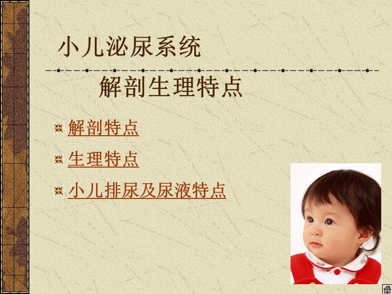 儿科学课件泌尿系统.ppt_第2页