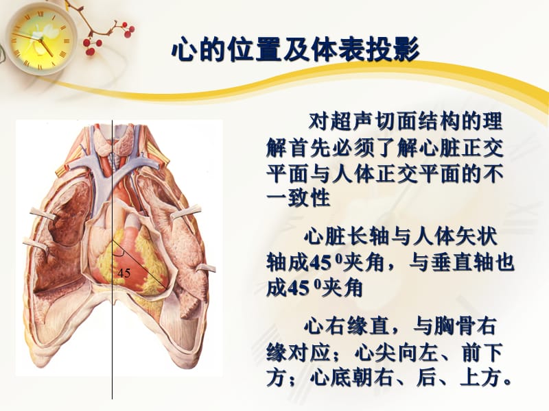 心脏超声常用切面及解剖.ppt_第3页