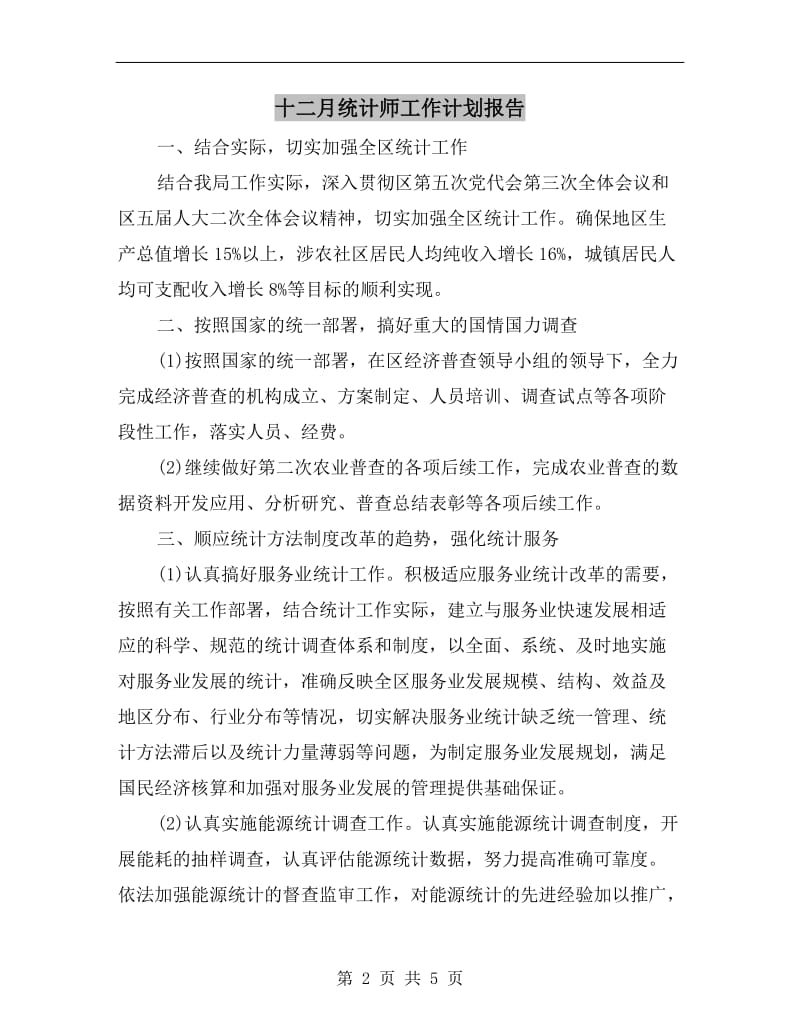 十二月统计师工作计划报告.doc_第2页