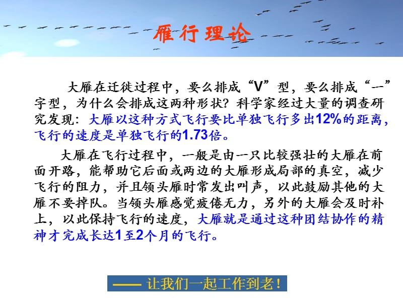 团队精神雁行理论感悟.ppt_第2页