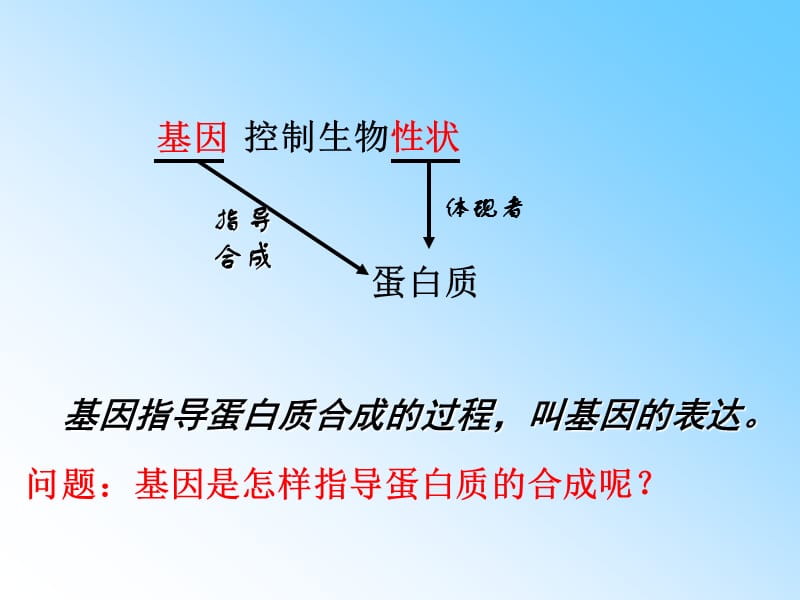 基因指导蛋白质合成的过程.ppt_第1页