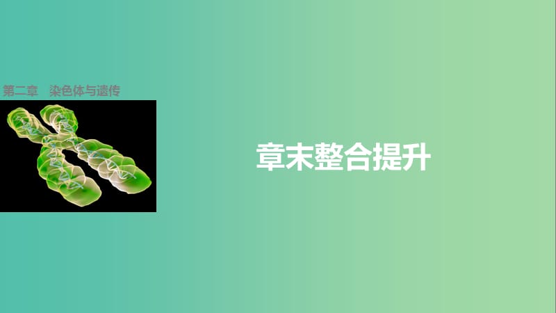 高中生物 第二章 染色体与遗传章末整合提升课件 浙科版必修2.ppt_第1页