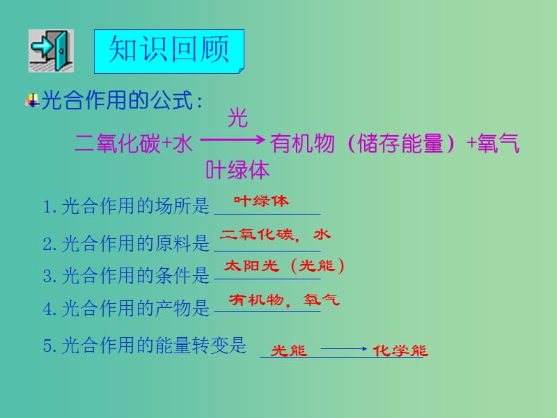 七年级生物上册 3.5.2 绿色植物的呼吸作用课件2 （新版）新人教版.ppt_第1页