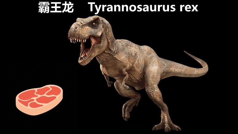 恐龙种类中英文对照dinosaurflashcards.ppt_第2页