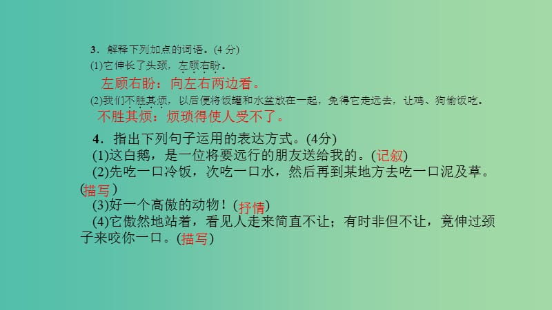 七年级语文下册 第一单元 3《白鹅》习题课件 语文版.ppt_第3页