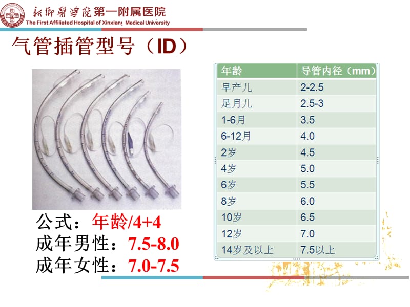 气管插管内吸痰技术.ppt_第2页