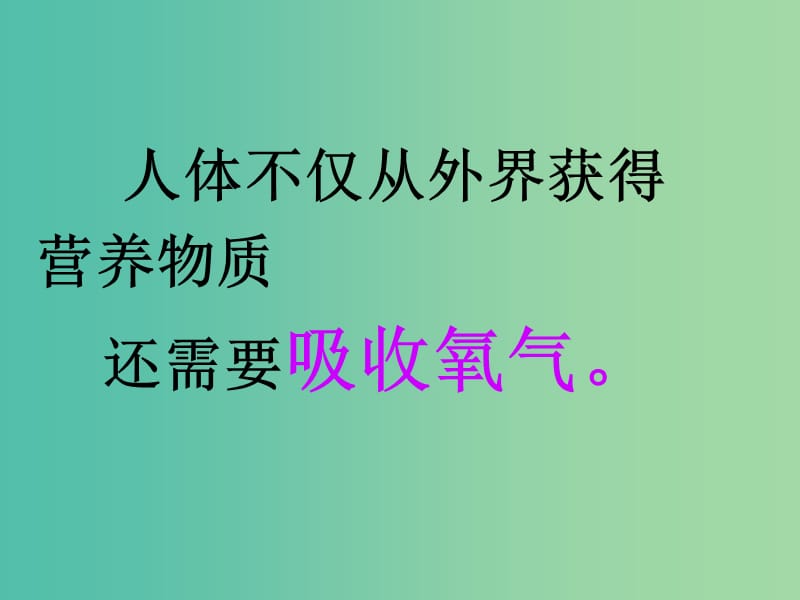 七年级生物下册 第三章 第一节 呼吸道对空气的处理课件 （新版）新人教版.ppt_第3页