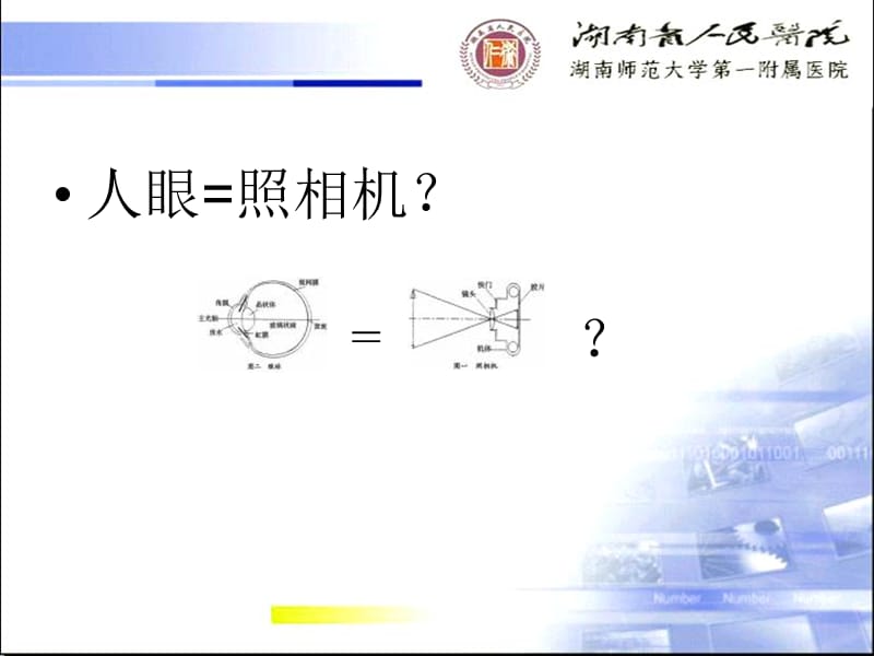 眼视光与常见眼病.ppt_第3页