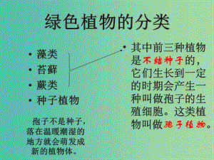 七年級(jí)生物上冊(cè) 3.1.1 藻類苔蘚和蕨類植物課件 （新版）新人教版.ppt