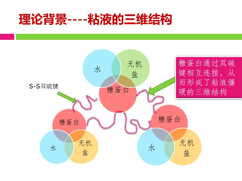 吸入用乙酰半胱氨酸溶液(富露施)的临床应用科室培训.ppt_第3页