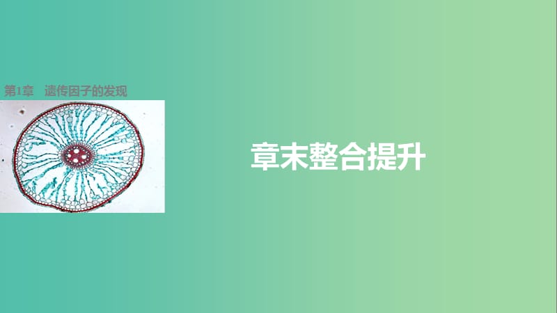 高中生物 第1章 遗传因子的发现章末整合提升课件 新人教版必修2.ppt_第1页