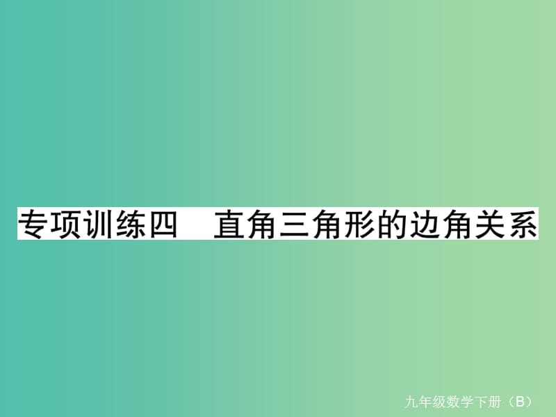 九年级数学下册 专项训练四 直角三角形的边角关系习题课件 （新版）北师大版.ppt_第1页