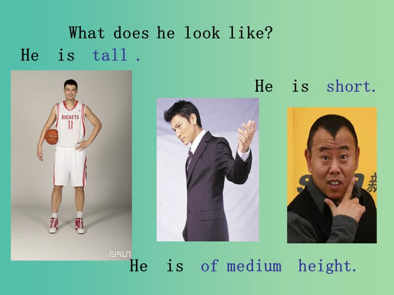 七年级英语下册 Unit 9 What does he look like Period 1课件 （新版）人教新目标版.ppt_第2页