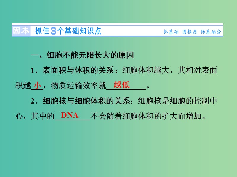 高考生物总复习 第4单元 第1讲 细胞的增殖课件 新人教版必修1.ppt_第2页