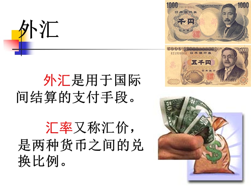 外汇和汇率变动的影响.ppt_第1页