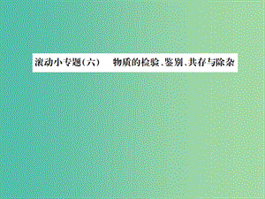 中考化學總復習 滾動小專題（六）物質的檢驗、鑒別、共存與除雜課件.ppt