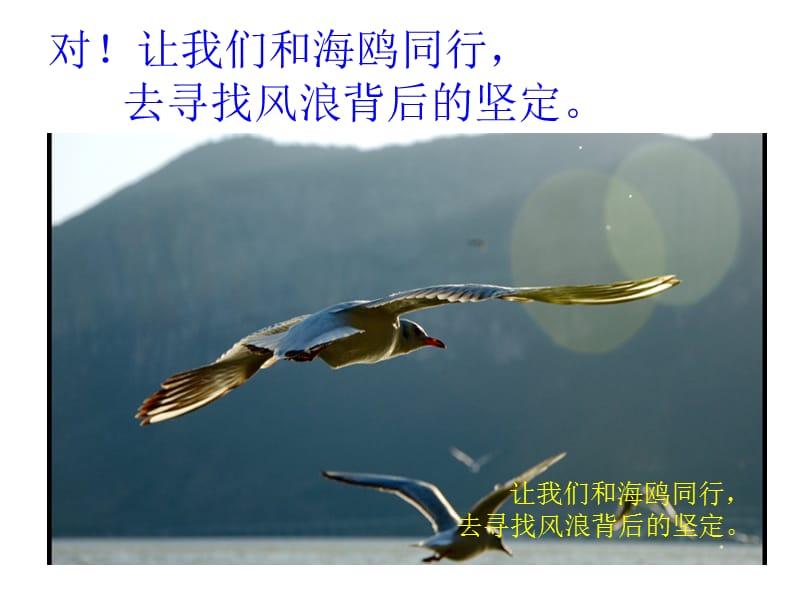 如果我有一双翅膀.ppt_第3页