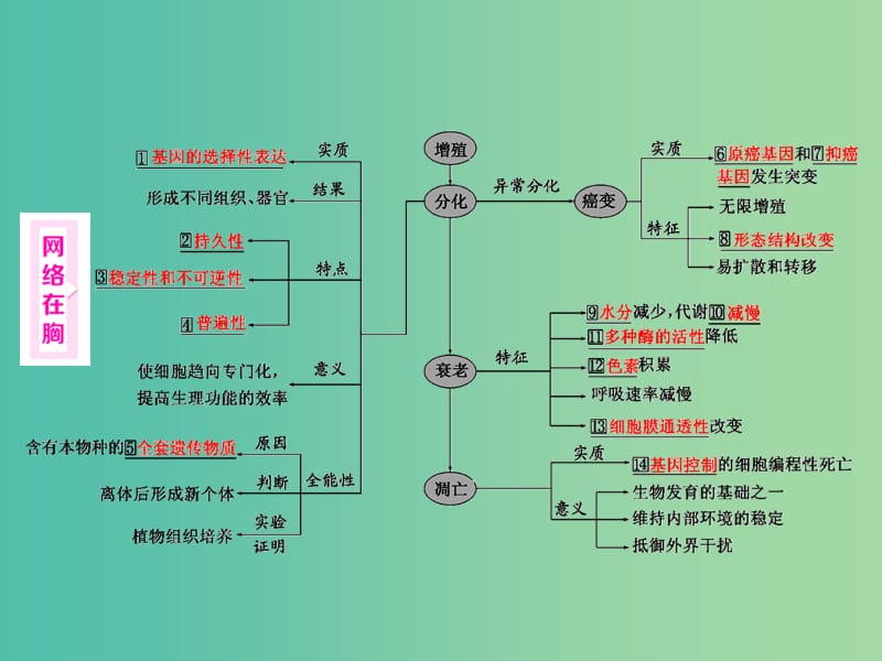 高考生物二轮复习 第一部分 第一部分 专题一 细胞系统 第4讲 第2课时 细胞的分化、衰老、凋亡和癌变课件.ppt_第2页