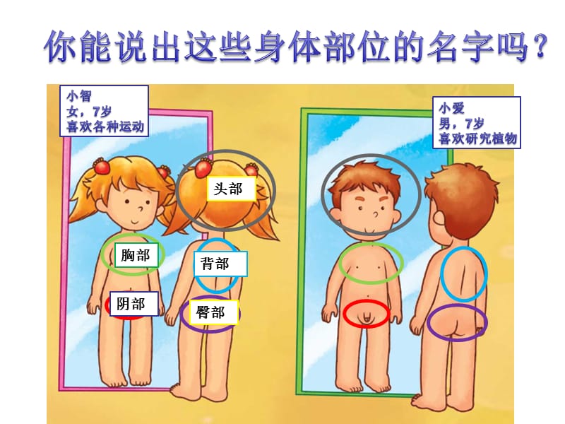 小学女生防性侵课件.ppt_第2页