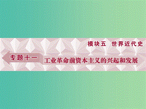 高考歷史一輪復習 專題11 工業(yè)革命前資本主義的興起和發(fā)展 第20講 西方人文精神及近代科學技術的發(fā)展課件.ppt