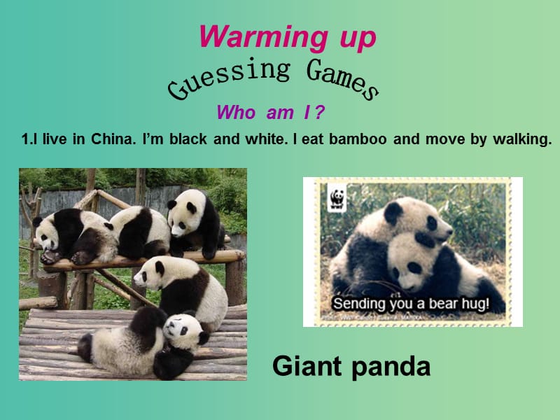 高中英语 Unit 4 Wildlife Protection Section One Warming Up and Reading1课件 新人教版必修2.ppt_第2页